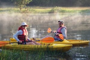 backwater kayaking tour – mangrove trail