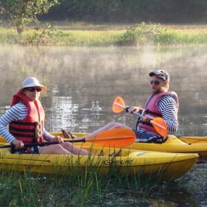 backwater kayaking tour – mangrove trail