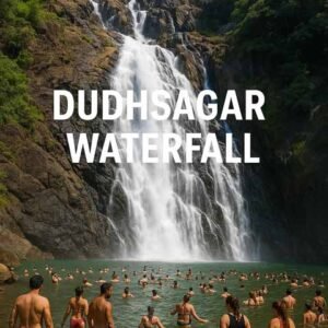 dudhsagar waterfall & spice plantation tour